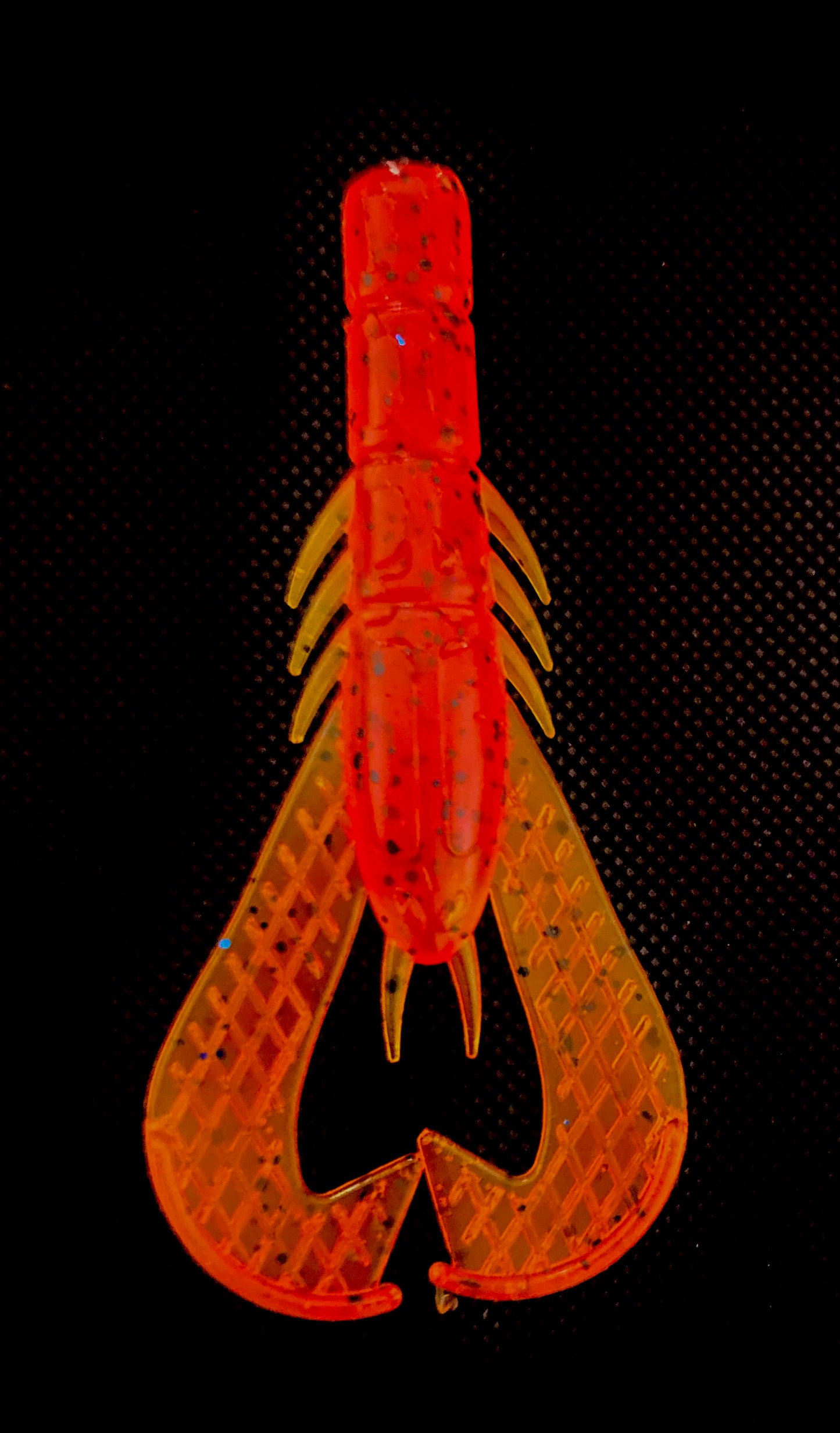 Large Craw